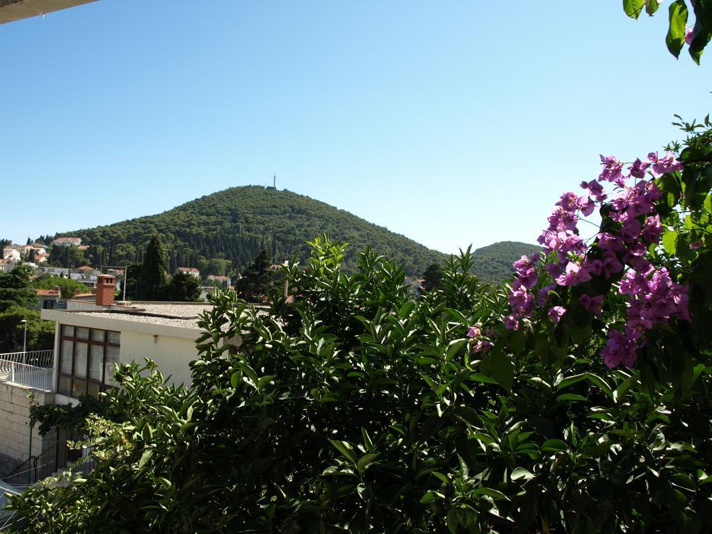 Carpe Diem Pensionat Dubrovnik